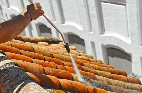 Nettoyage de toitures - Polliat